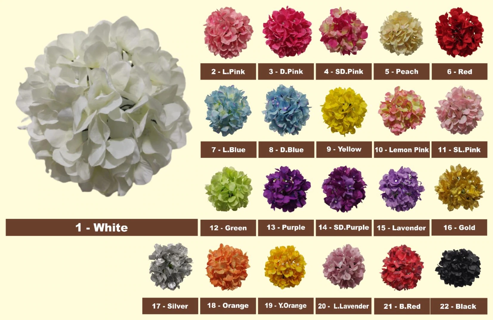 Hydrangea AHXC Loose